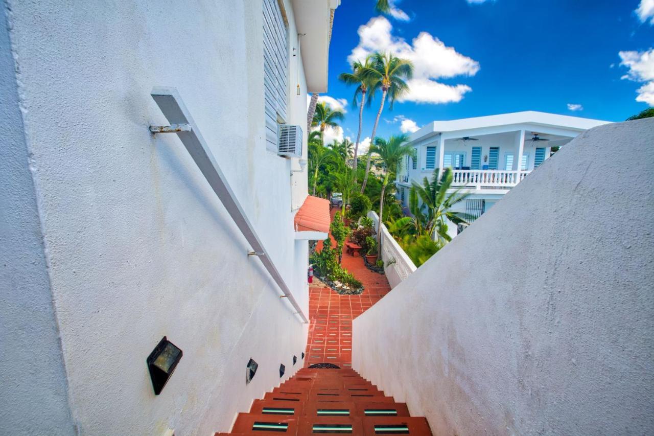 Coconut Palms Inn Ринкон Экстерьер фото