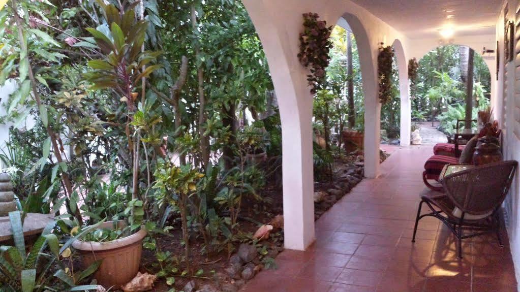 Coconut Palms Inn Ринкон Экстерьер фото