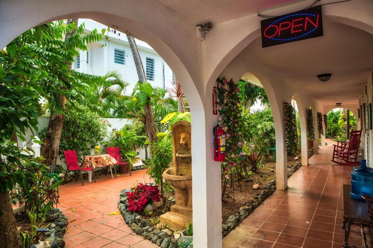 Coconut Palms Inn Ринкон Экстерьер фото